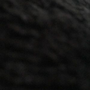 Meet your Posher, Terry